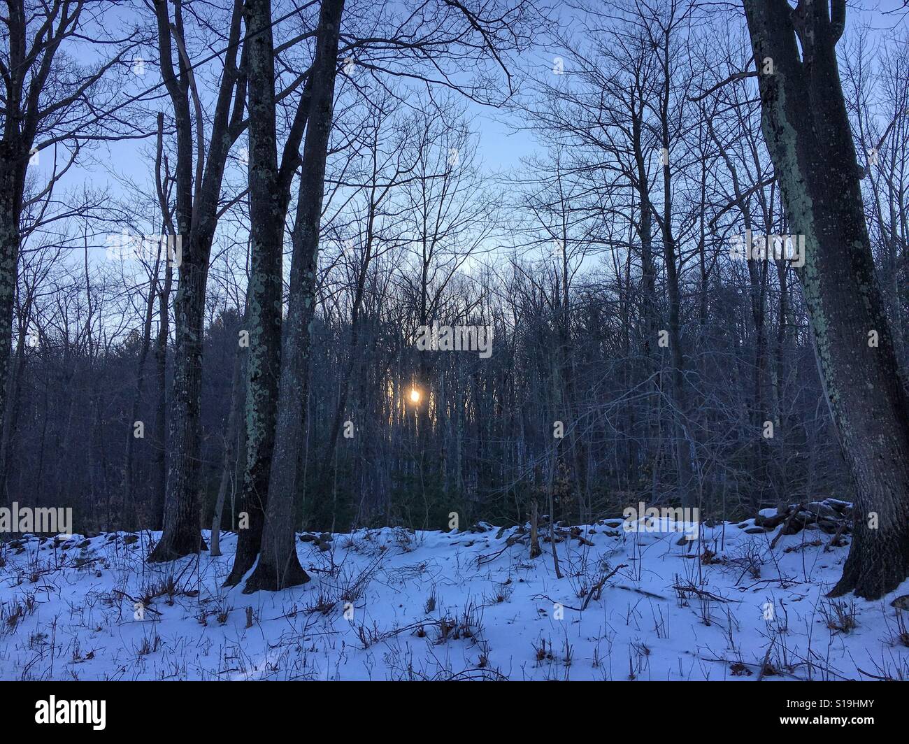 Tramonto attraverso la foresta durante il periodo invernale in Massachusetts occidentale. Girato nella città di sandisfield nel Berkshires. Foto Stock