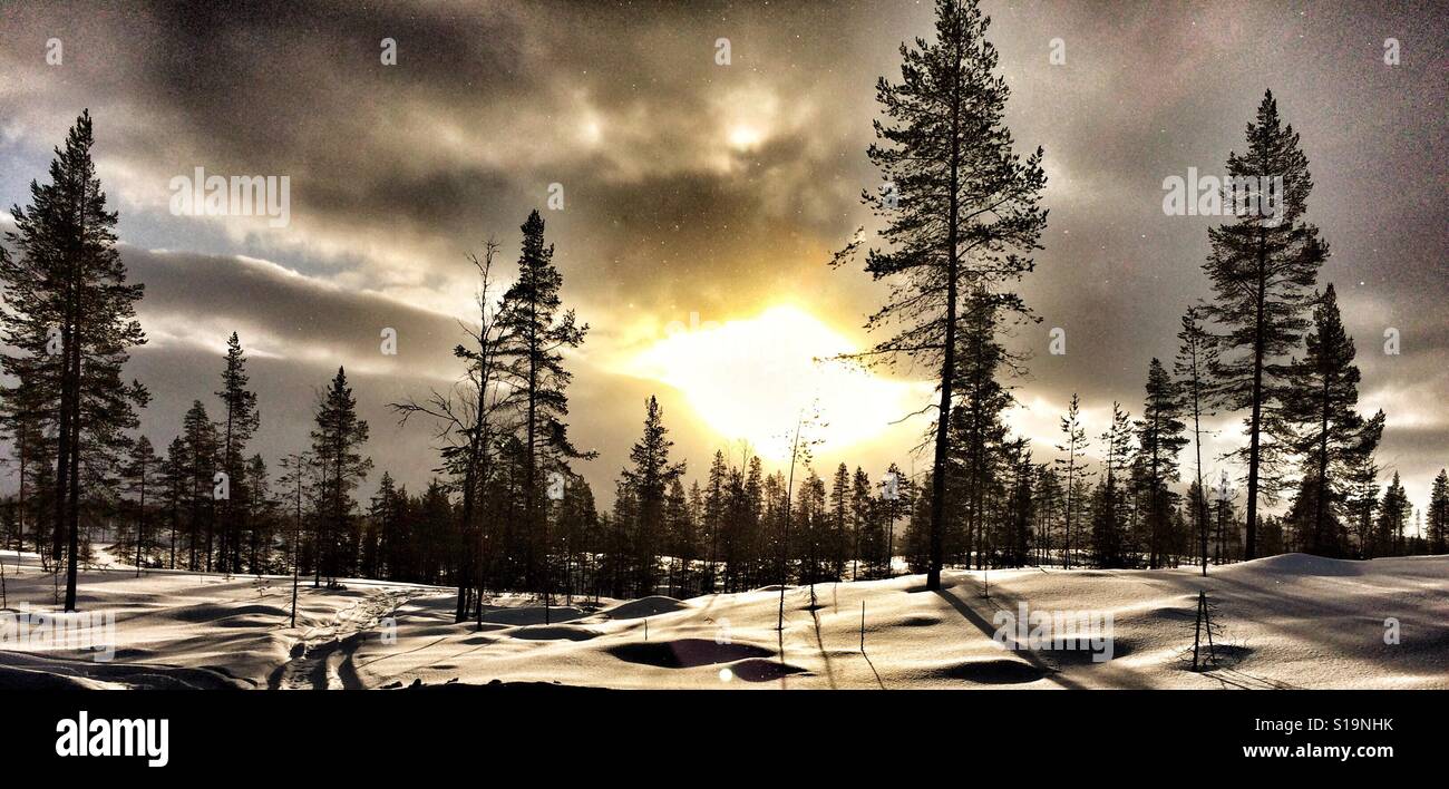 Nevoso inverno nella metà ovest della Svezia, appena fuori di idre. Foto Stock