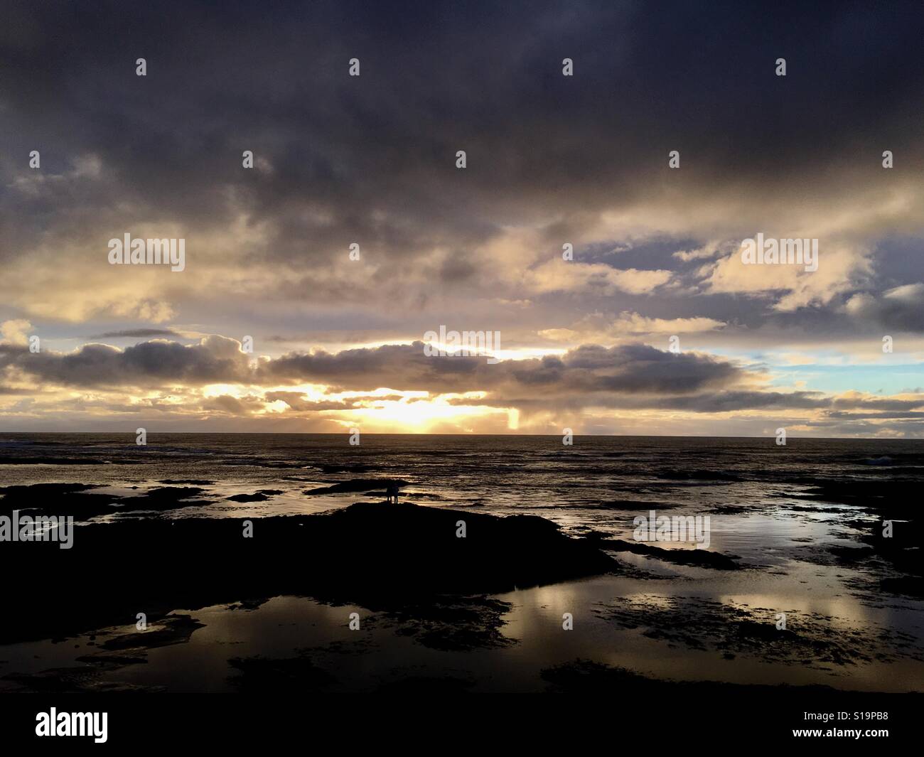 Nordic sunset wth drammatico sky riflessa nell'oceano Foto Stock