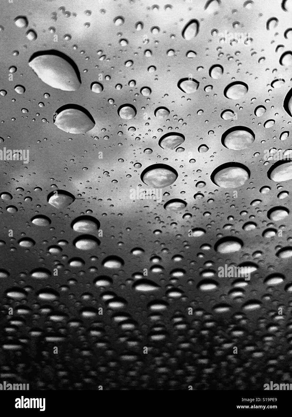 Le gocce di pioggia sul vetro, in bianco e nero Foto Stock