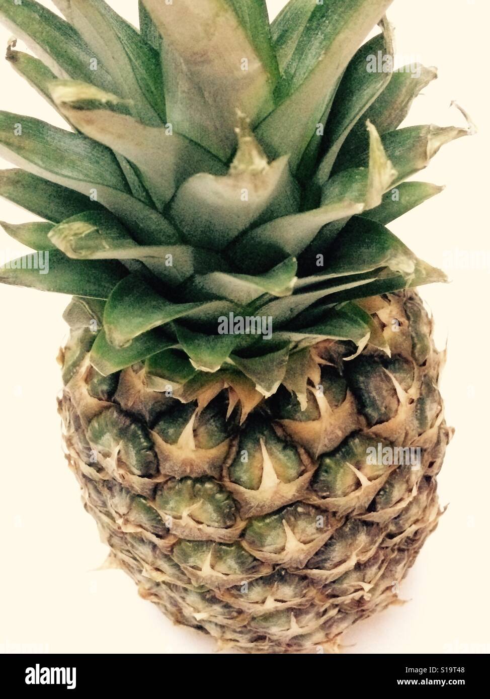 Ananas fresco frutta isolato Foto Stock