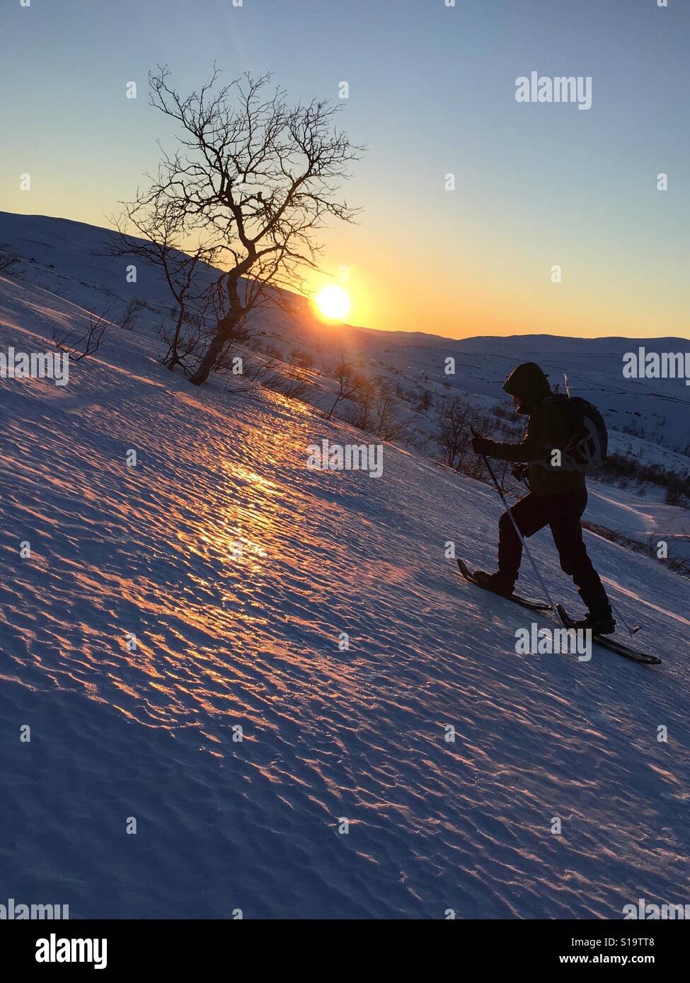 Donna scalare una montagna nel Parco Nazionale di Hardangervidda su racchette da neve durante il tramonto Foto Stock