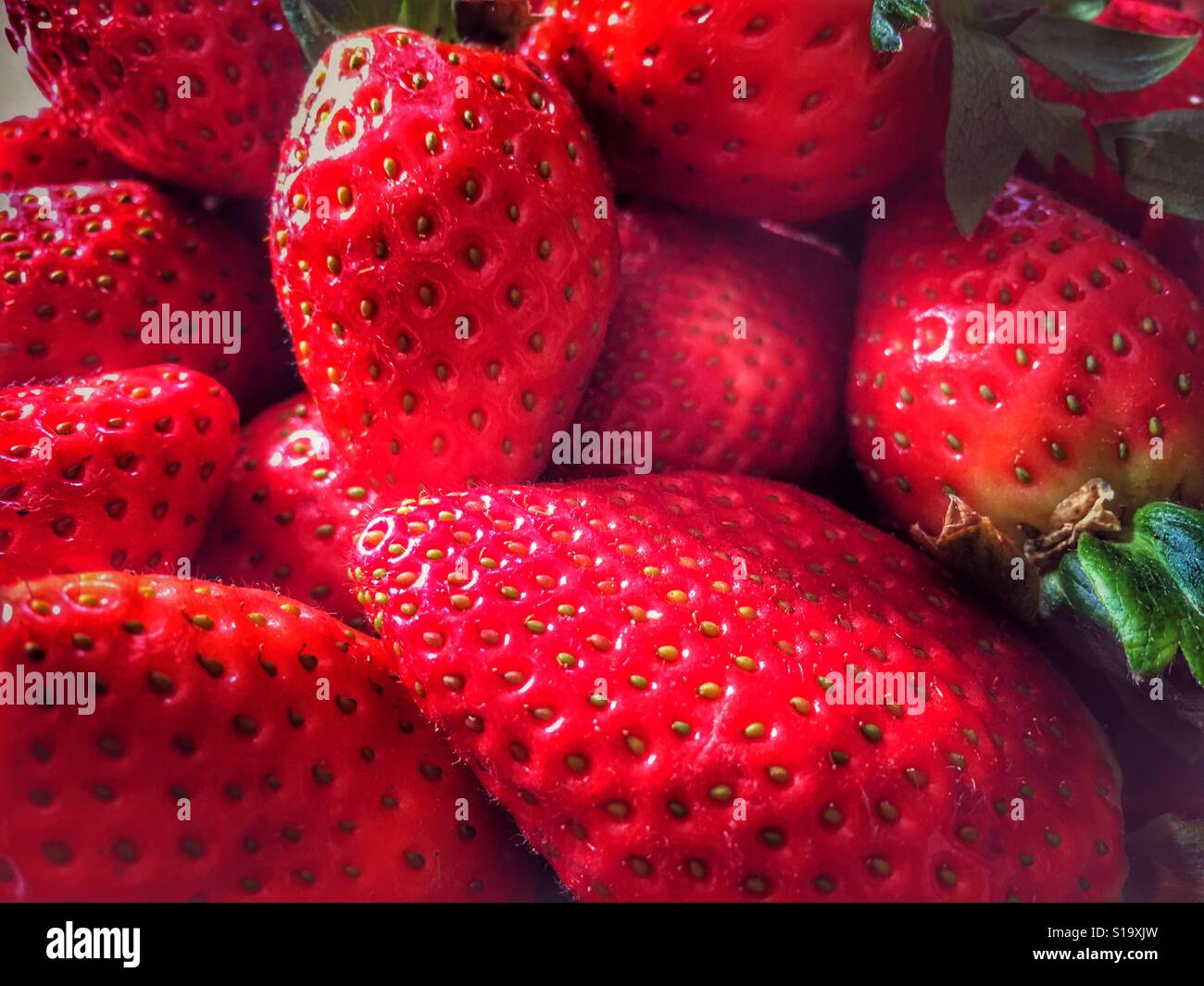 Fresche succose fragole rosso - Immagine stock catturata con smartphone
