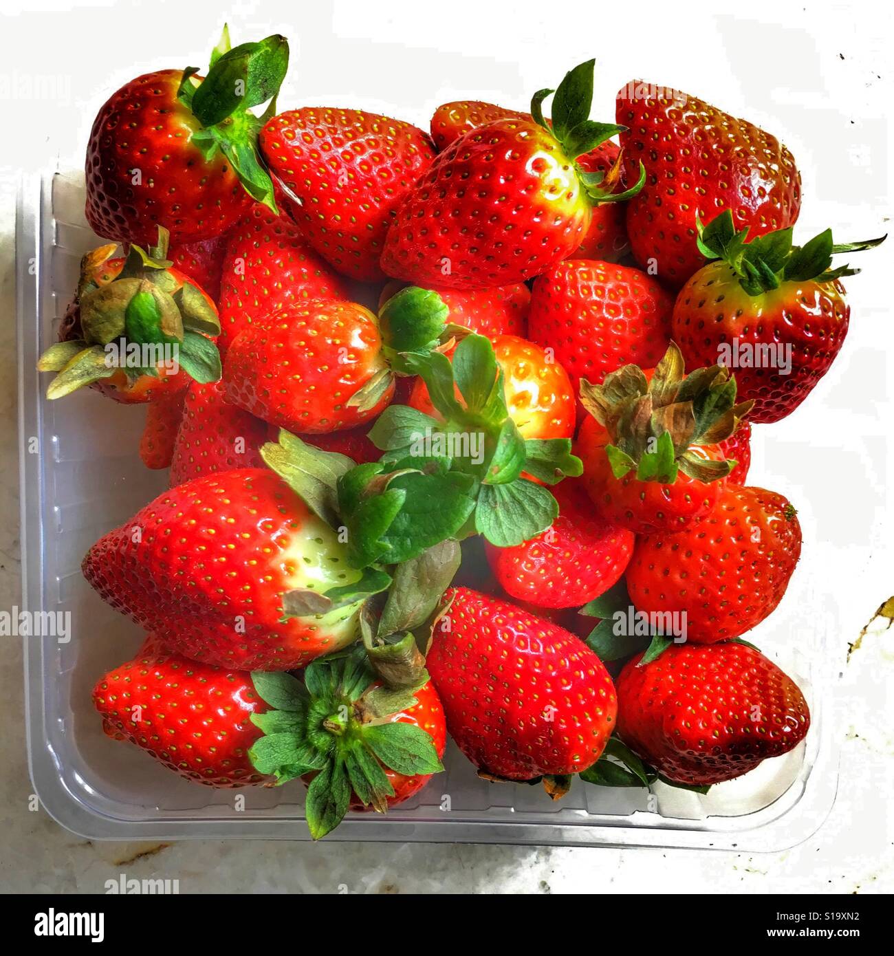 Fragole fresche in una vasca di plastica - Immagine stock catturata con smartphone