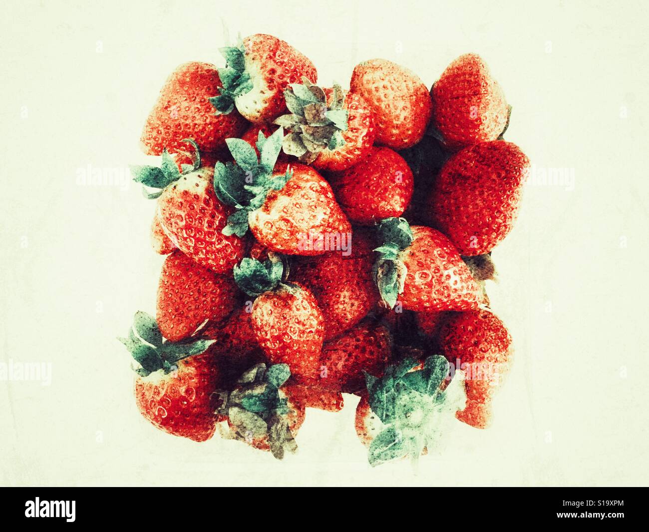 Fragole Foto Stock