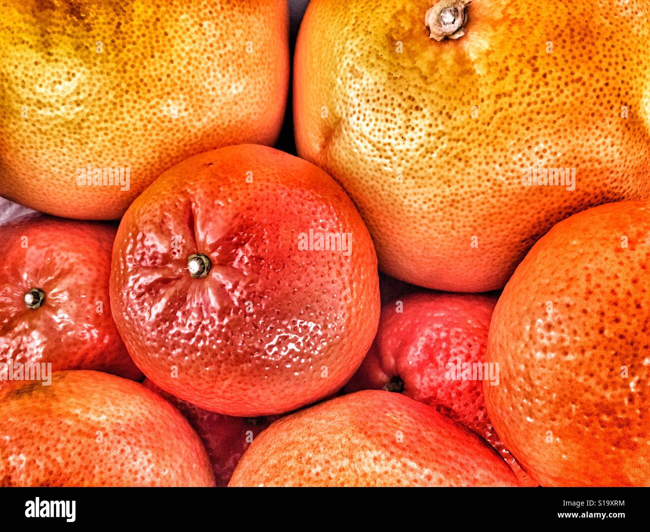 Pompelmi e mandarini arance - Immagine stock catturata con smartphone