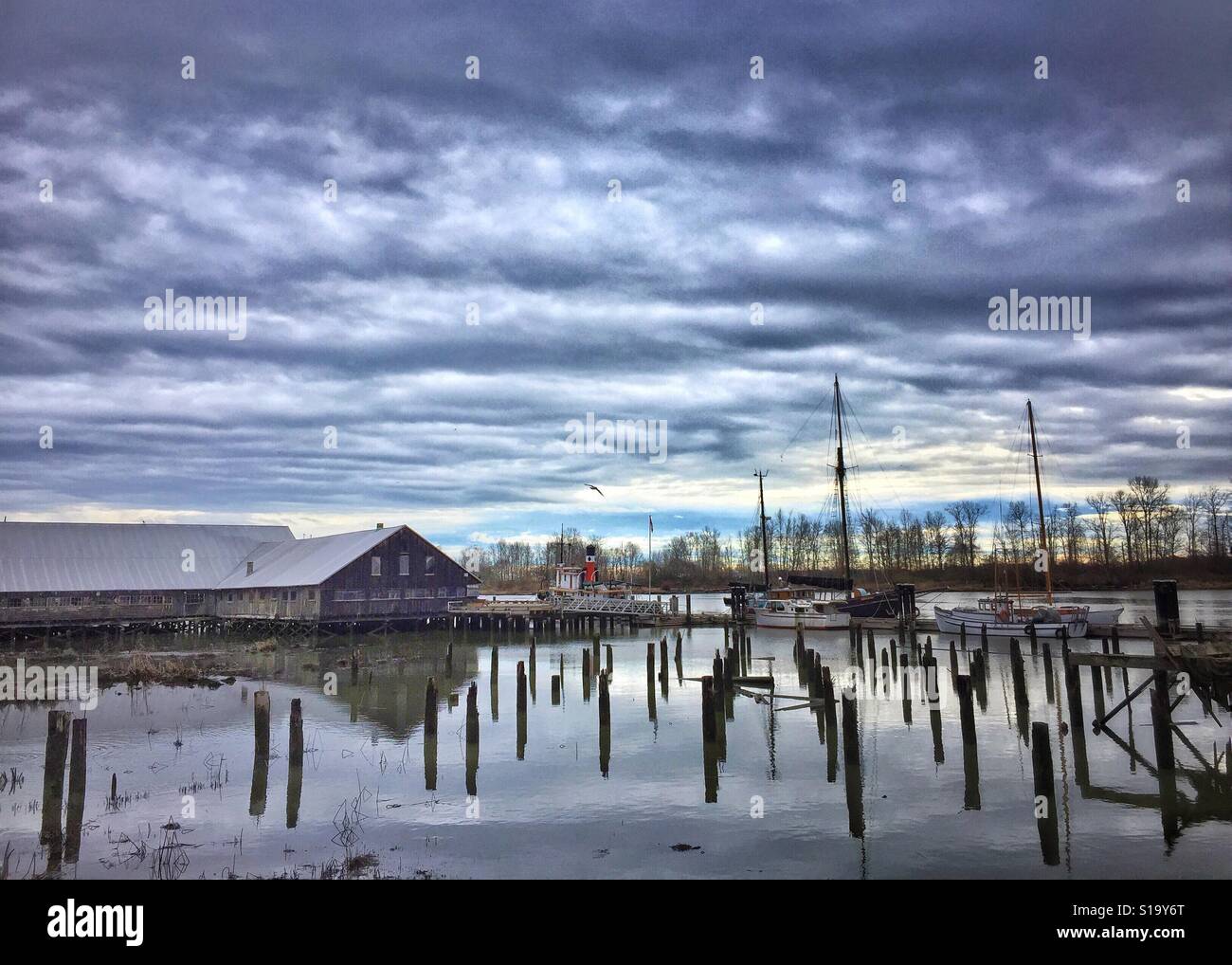 Vecchio cannery nel delta del fiume Foto Stock