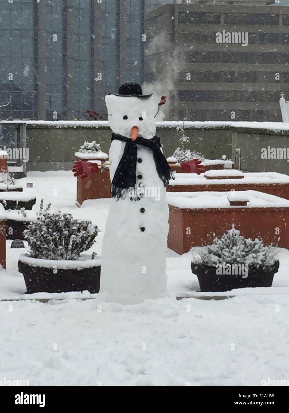 Uomo di neve nella città Foto Stock