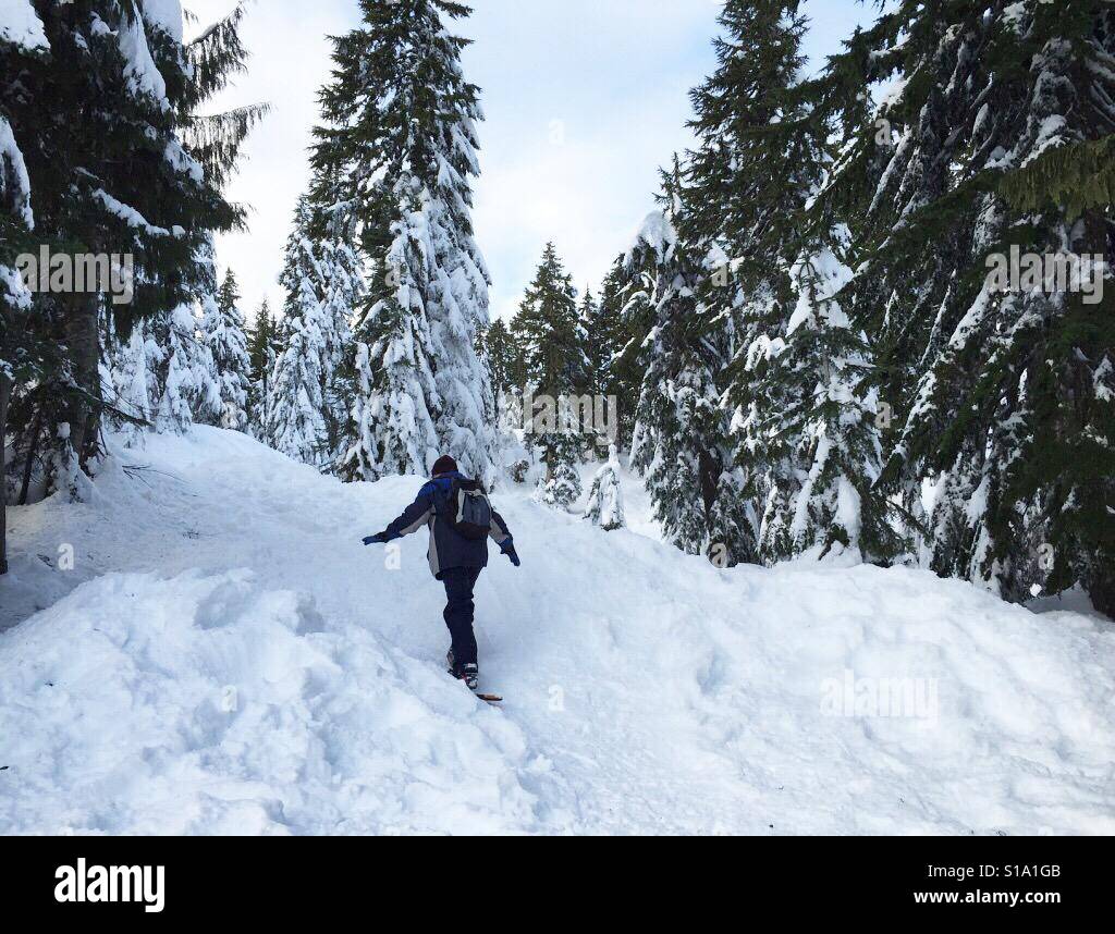 Mountain Escursioni con le racchette da neve Foto Stock