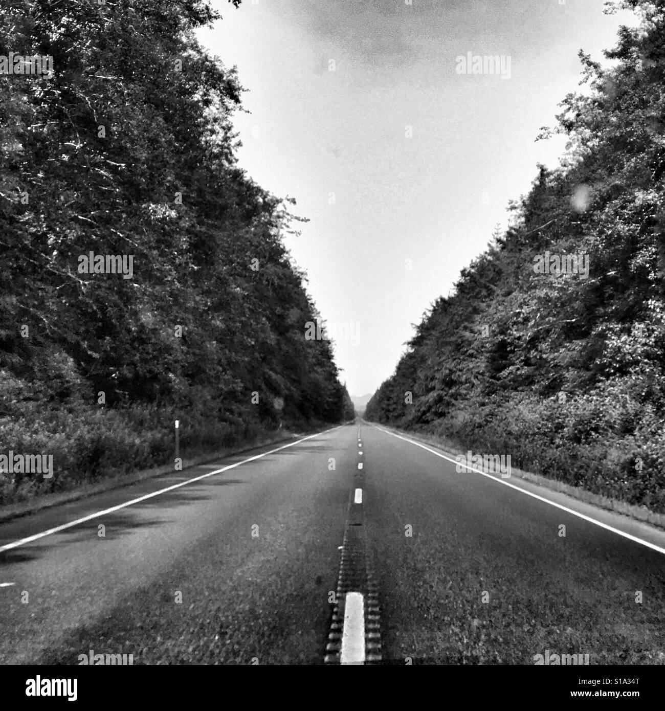 Lunga strada diritta - Immagine stock catturata con smartphone