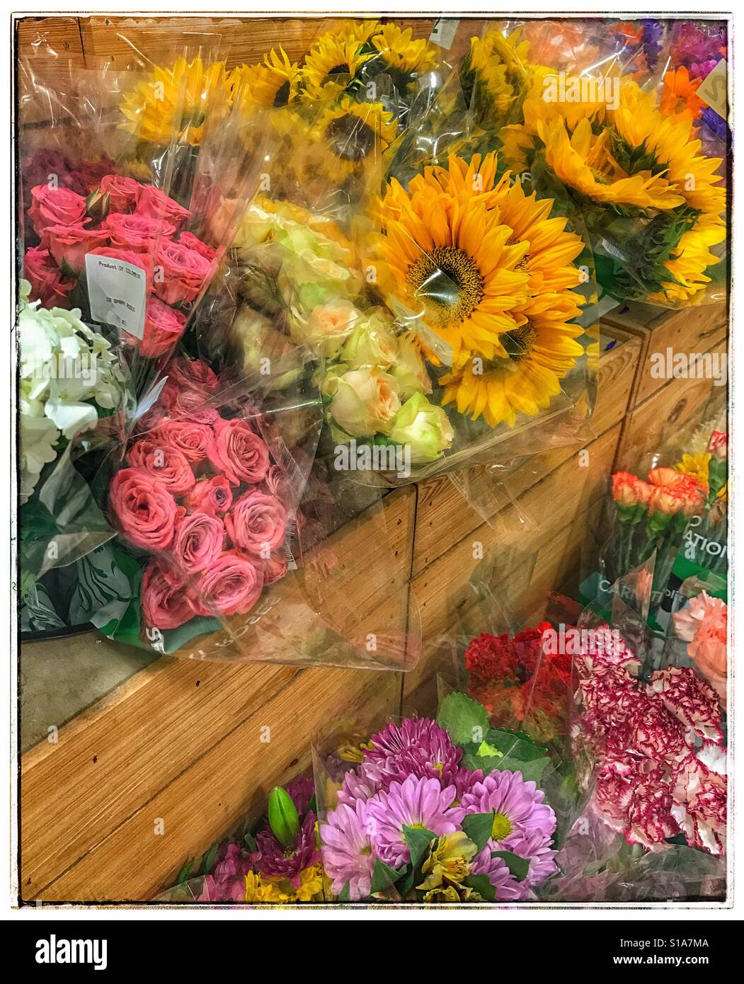 Fiori freschi recisi in vendita nel negozio di generi alimentari - Immagine stock catturata con smartphone