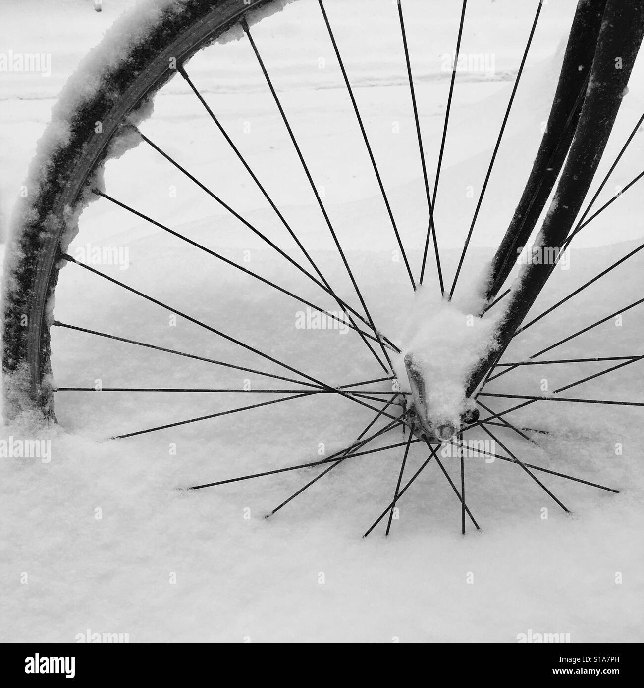 La ruota di bicicletta nella neve Foto Stock