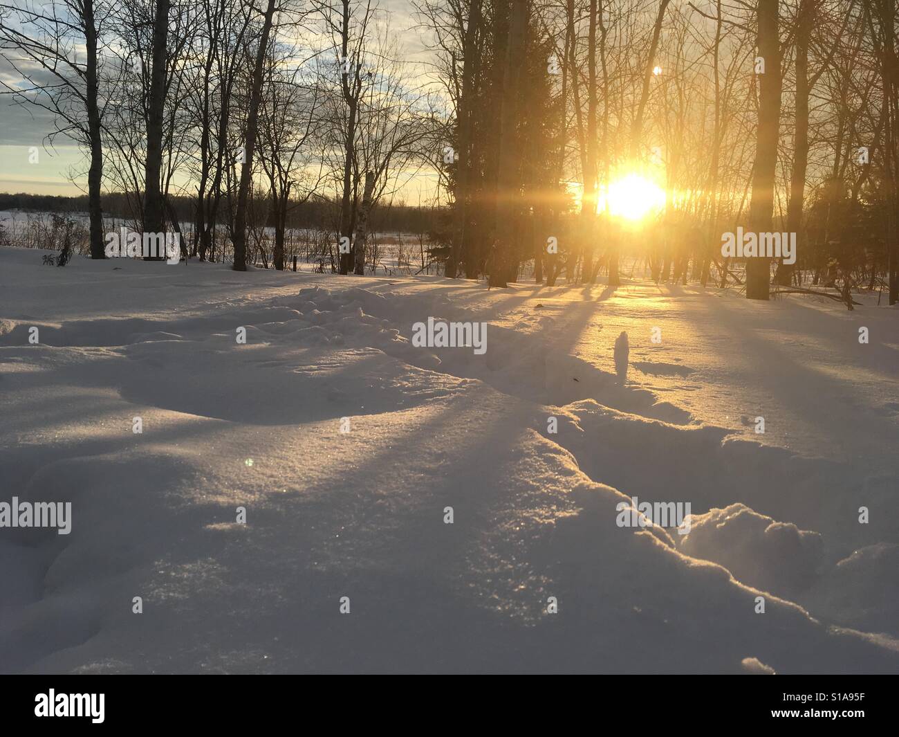 Il sole invernale Foto Stock