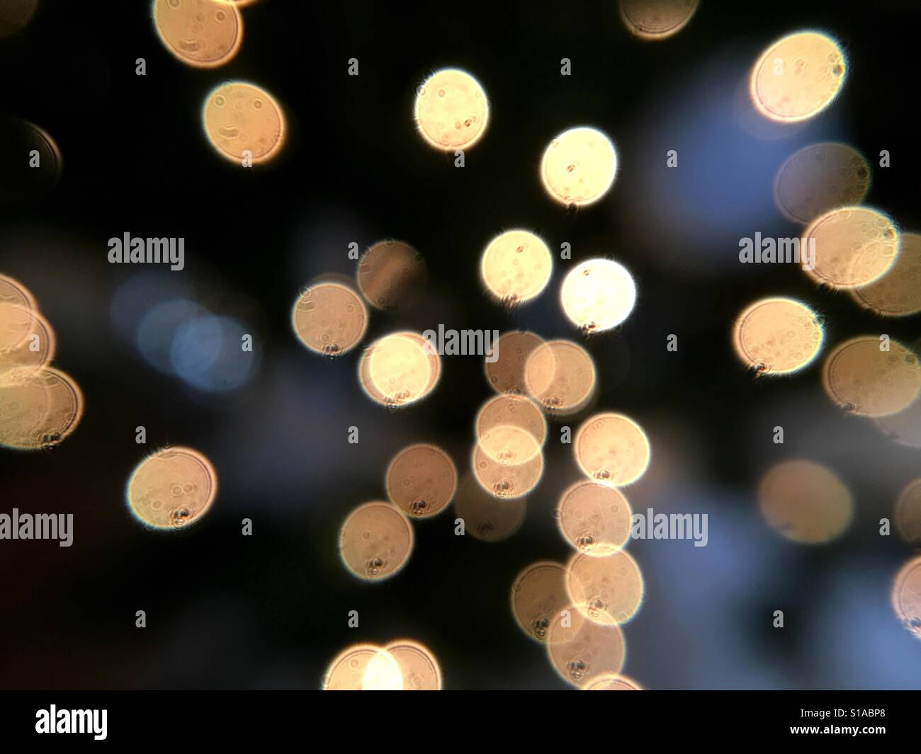 Bokeh di luci su un albero di Natale - Immagine stock catturata con smartphone