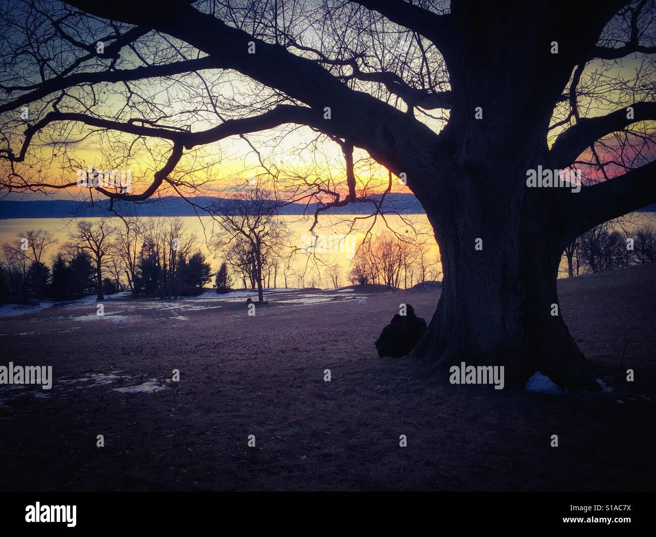 Un paio di godersi il tramonto che si affaccia sul fiume Hudson su un insolitamente caldo inverno weekend con temperature primaverili in New York STATI UNITI D'AMERICA al crepuscolo - Immagine stock catturata con smartphone Un paio di godersi il tramonto che si affaccia sul fiume Hudson su un insolitamente caldo inverno weekend con temperature primaverili in New York STATI UNITI D'AMERICA al crepuscolo - Immagine stock catturata con smartphone