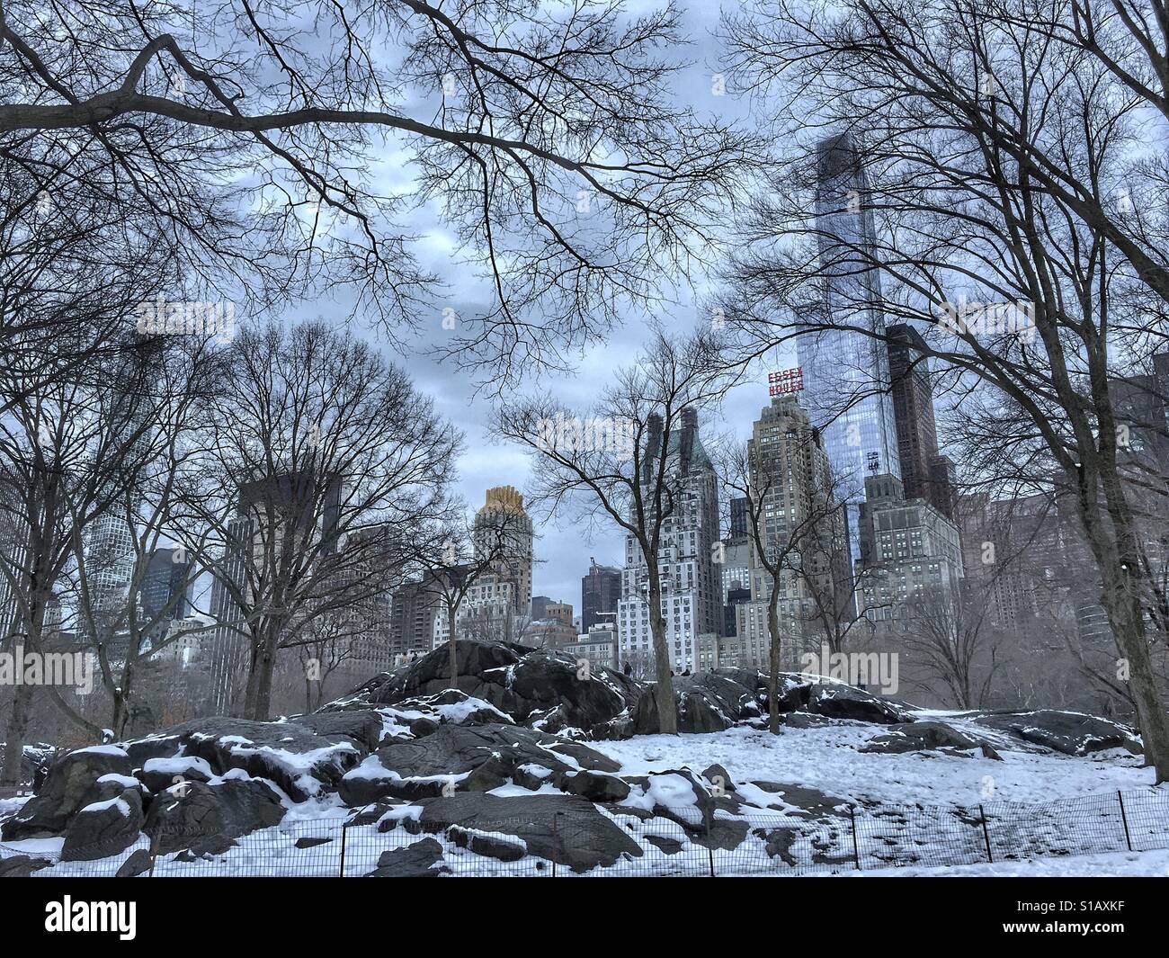 Il Central Park di New York. Alberi nascondendo la città. Foto Stock