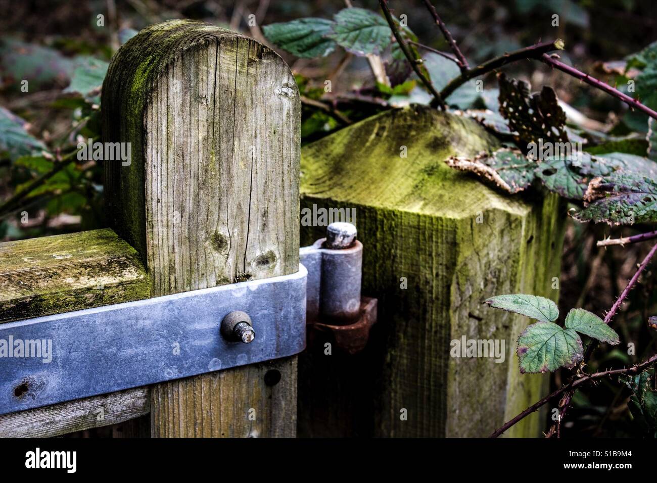 Cancello di baciare Foto Stock