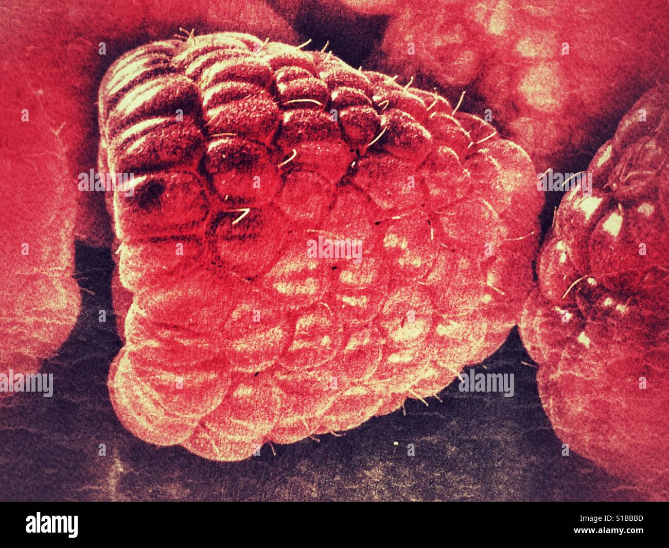 Lampone - Immagine stock catturata con smartphone