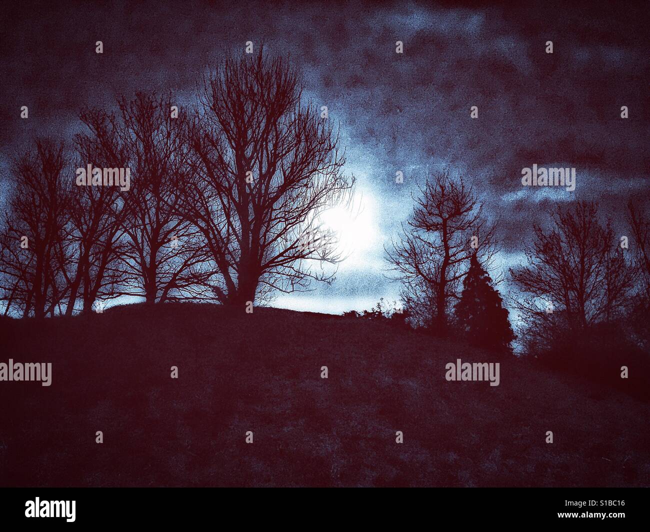 Paesaggio al chiaro di luna Foto Stock