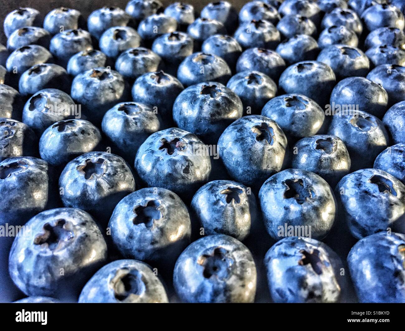 Mirtilli - Immagine stock catturata con smartphone
