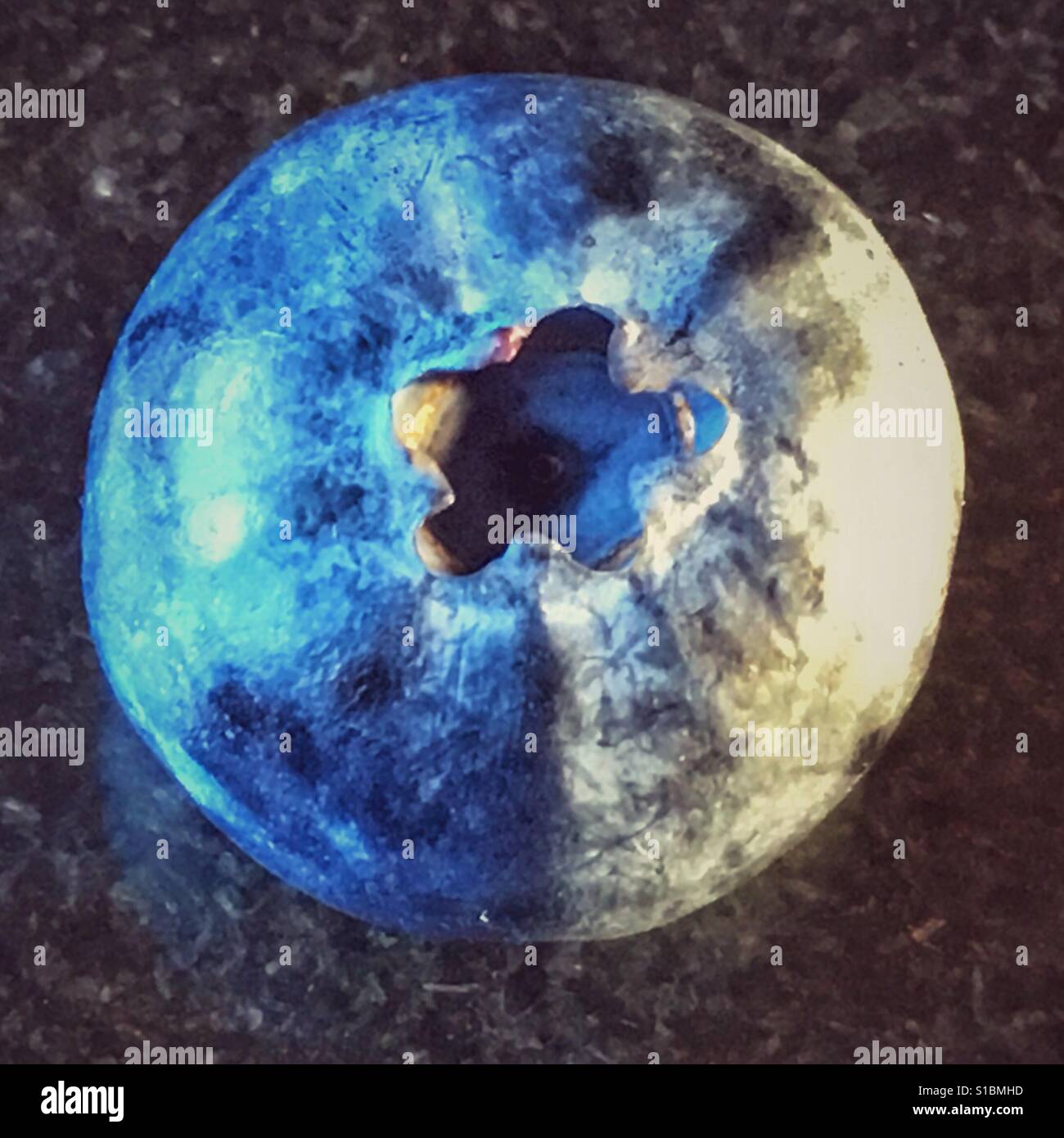 Mirtillo, macro - Immagine stock catturata con smartphone