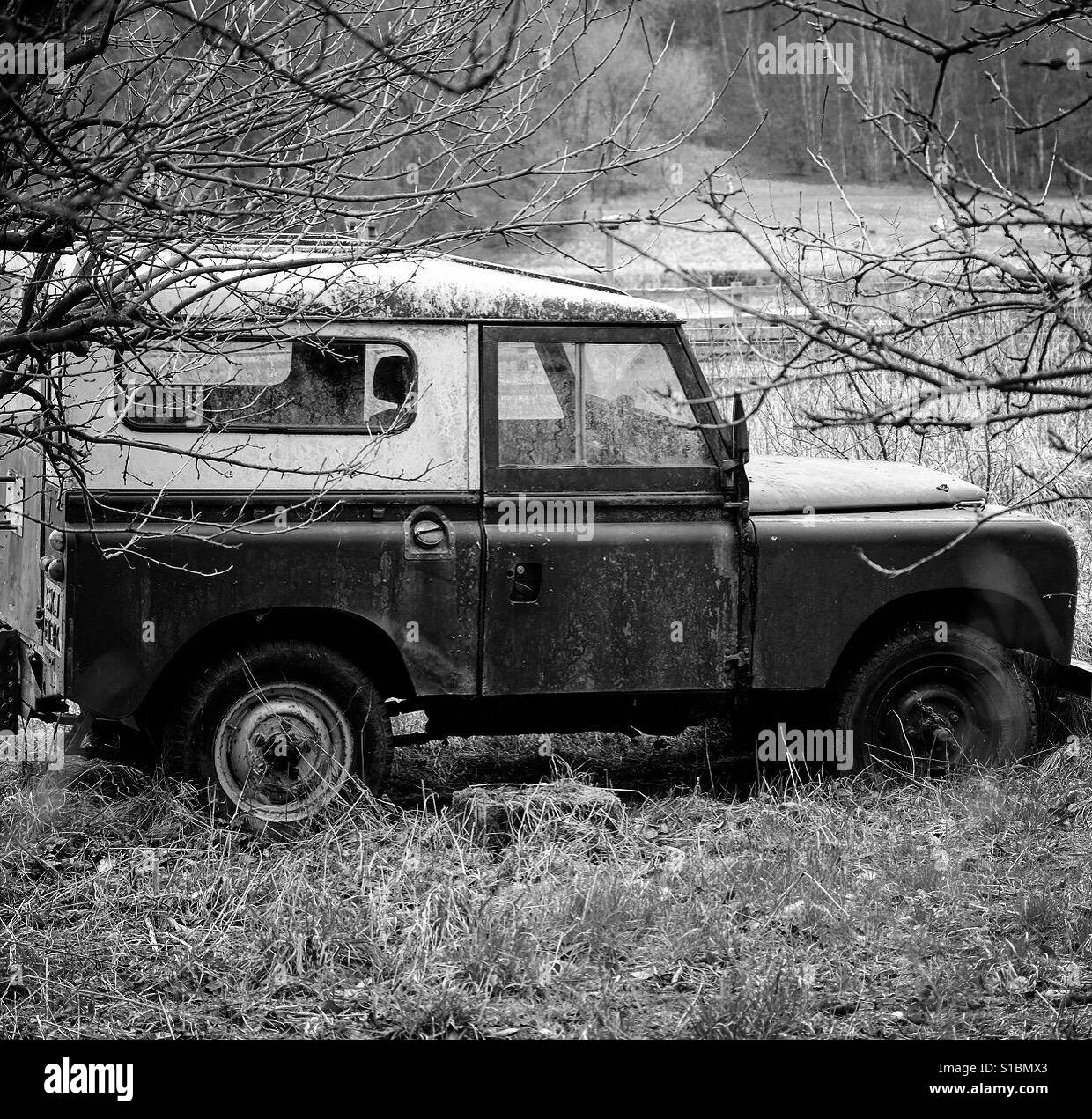 Vecchio Landrover, lasciati a marcire in un campo. Foto Stock