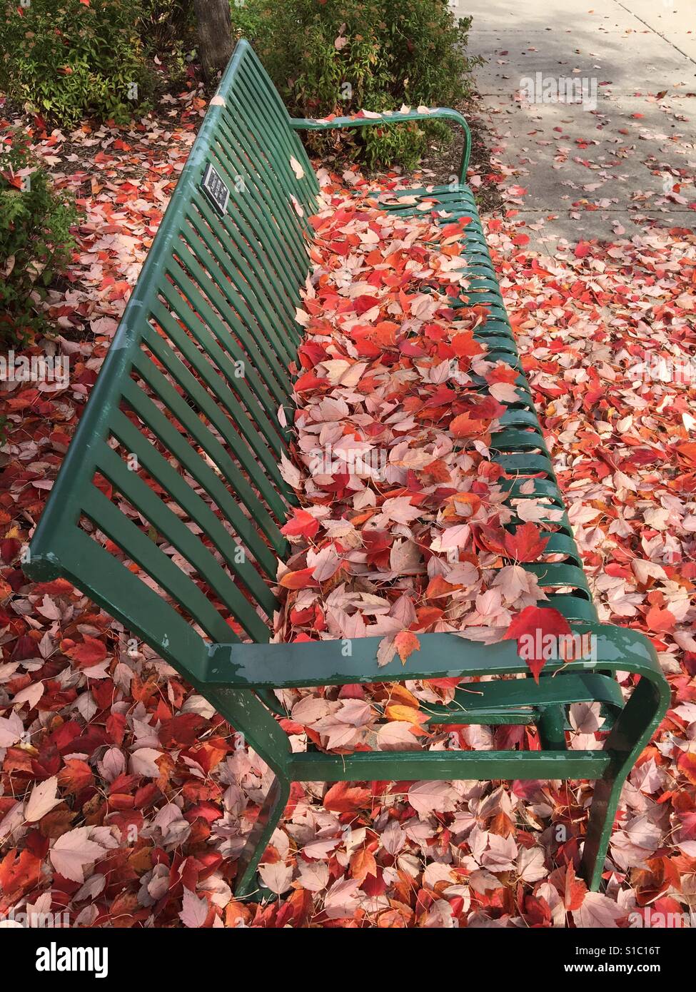 Panchina coperta di foglie Foto Stock