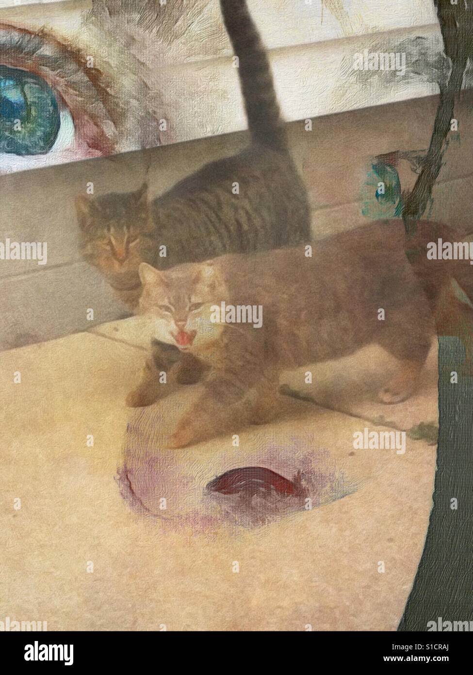 Una doppia esposizione utilizzando un filtro pittorica. Il volto di una persona con due gatti a piedi attraverso di esso (un gatto è un sibilo). - Immagine stock catturata con smartphone