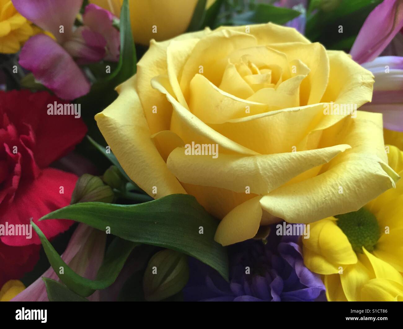 Rosa gialla e altri fiori in un bouquet Foto Stock