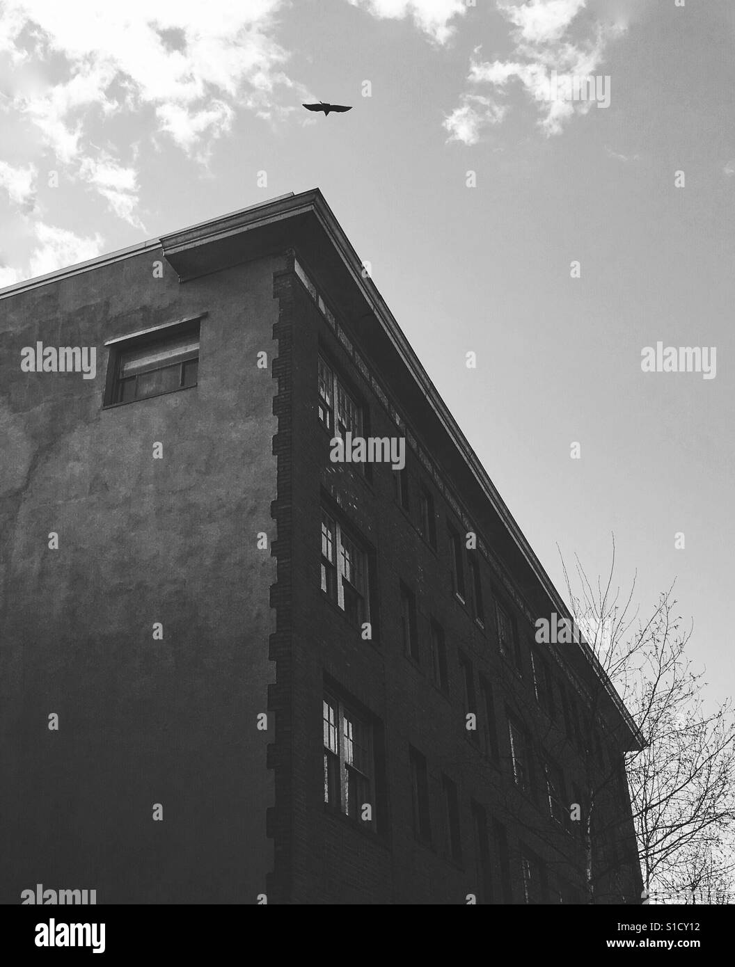 Edificio storico con le principali linee che indicano il merlo nel cielo - Immagine stock catturata con smartphone