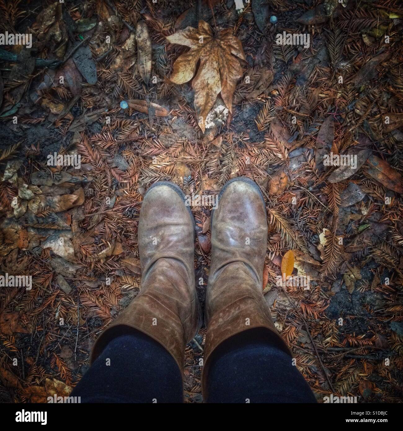 Stivali sul terreno Foto Stock