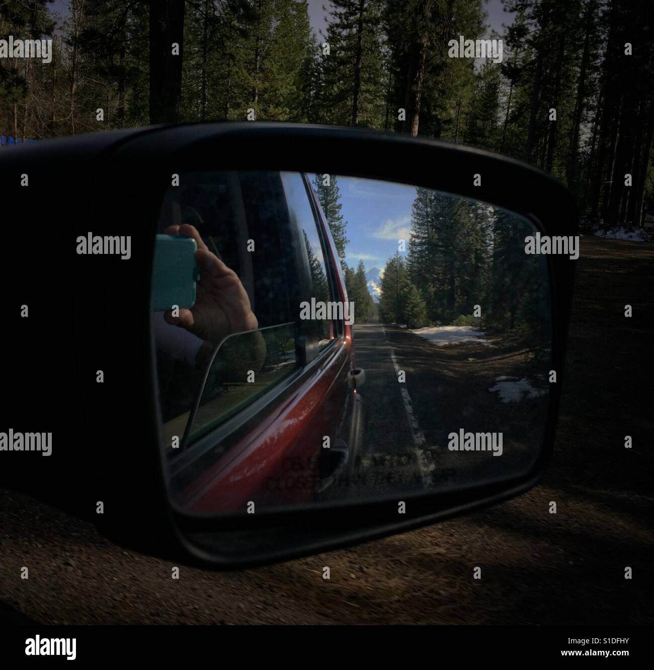 Il Redwood forest e un picco di montagna appaiono in uno specchio retrovisore di un SUV di rosso. Una mano che tiene un smartphone può essere visto, troppo. Foto Stock