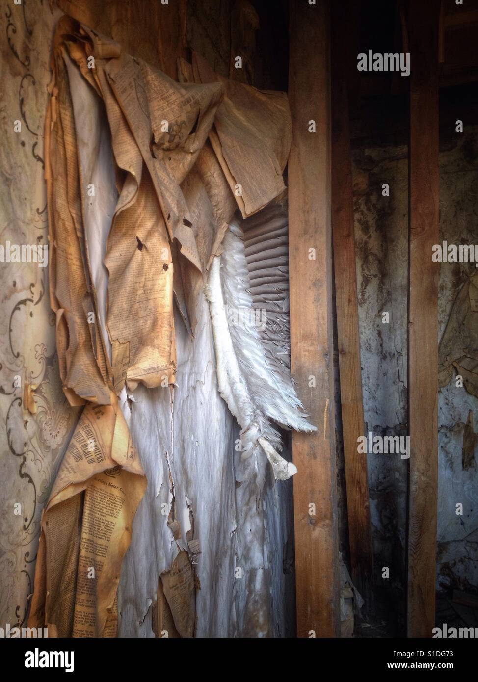 Stato Bodie Parco Storico vicino Lago Mono in California. - Immagine stock catturata con smartphone