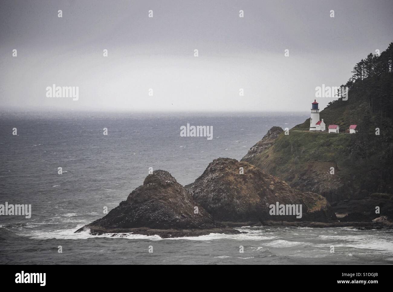 Haceta Head Lighthouse in Oregon Coast. Del Pacifico del Nord Ovest. Stati Uniti d'America. Foto Stock