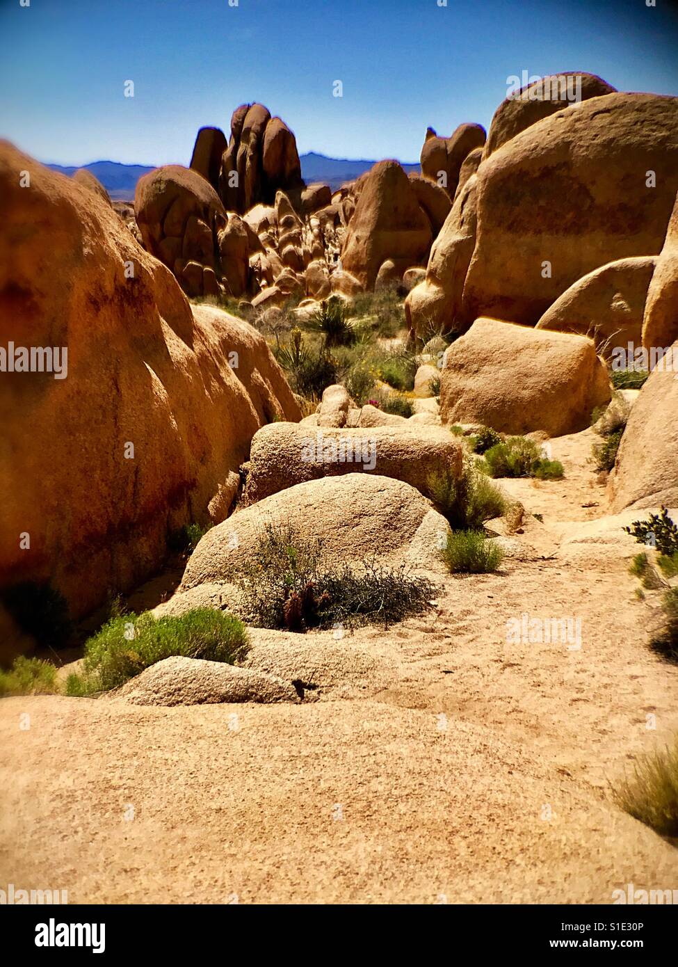Da soli ma non solitario - Immagine stock catturata con smartphone
