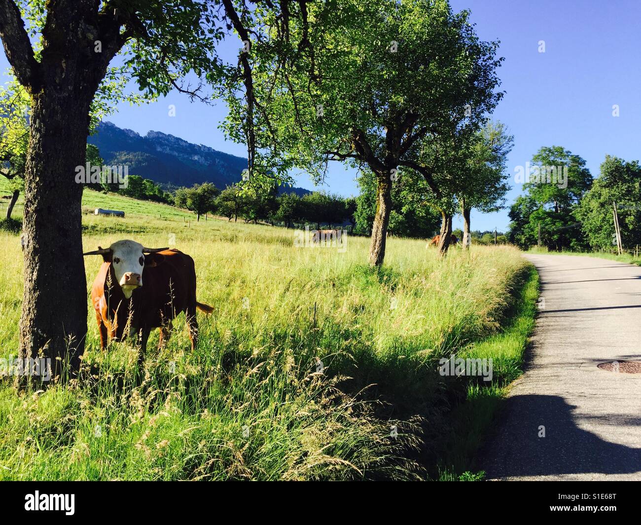 Escursioni in bicicletta nelle Alpi francesi Foto Stock