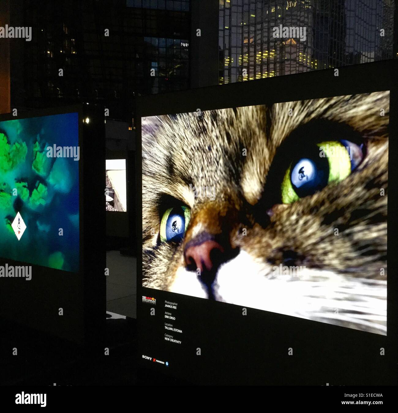 Red Bull Illume fotografia digitale mostra. - Immagine stock catturata con smartphone