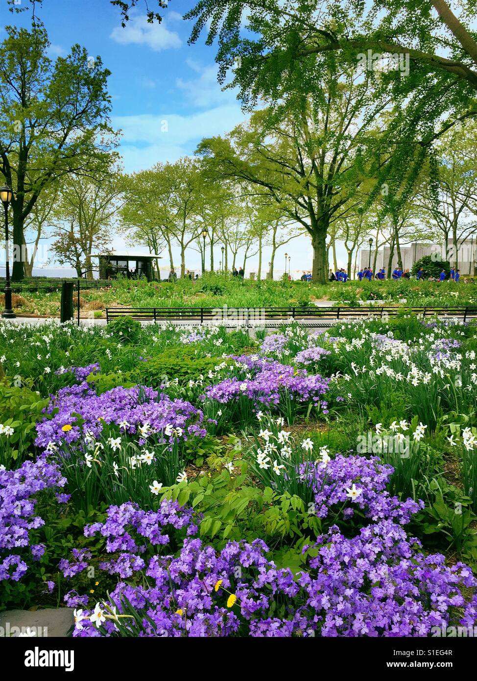 Fiori di Primavera e piantagioni di Battery Park, New York, Stati Uniti d'America Foto Stock