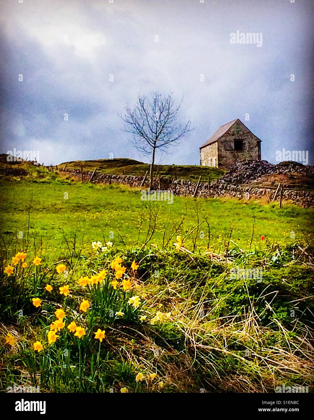 Il Peak District paesaggio vicino Wirksworth Derbyshire Inghilterra in primavera - Immagine stock catturata con smartphone