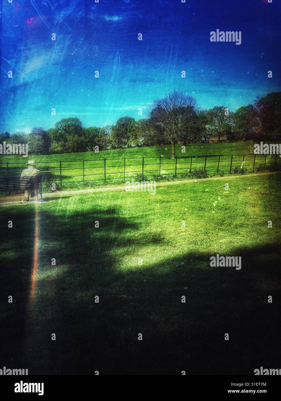 Uomo seduto da solo nel parco contemplando - Immagine stock catturata con smartphone