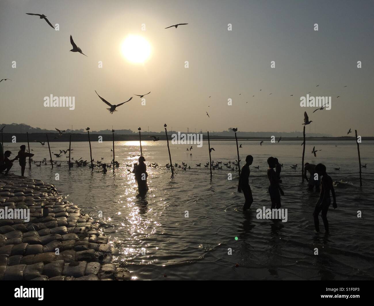 Devoti indù prendere un tuffo a Sangnam, alla confluenza del Gange e Yamuna mitico Saraswati fiumi in Allahabad, India - Immagine stock catturata con smartphone