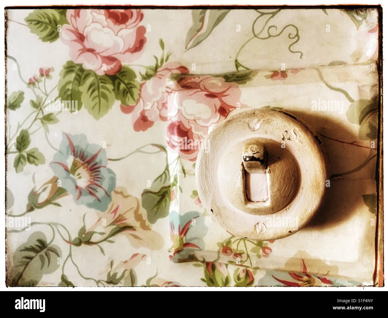 Parete di fiori di carta & interruttore luce Foto Stock