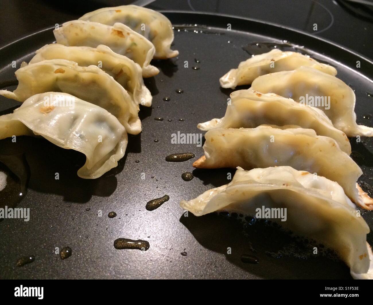 Giapponese gnocchi gyoza friggere in una padella Foto Stock