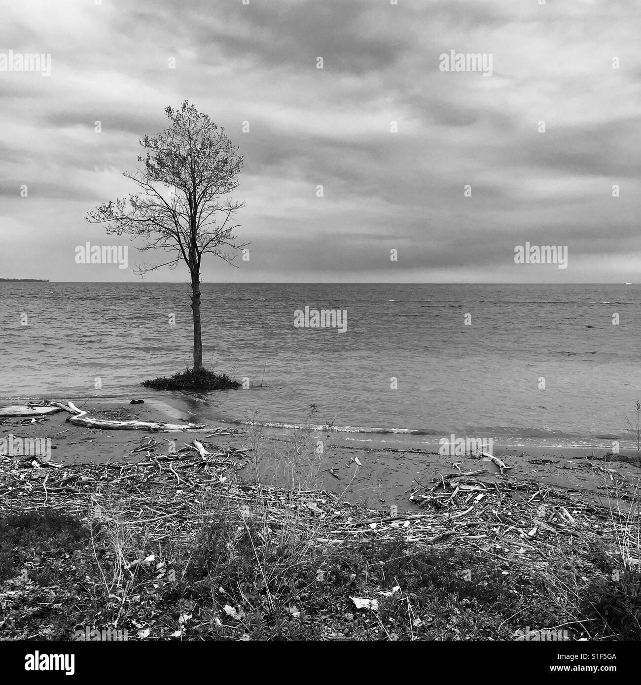 Lago Ontario - Immagine stock catturata con smartphone