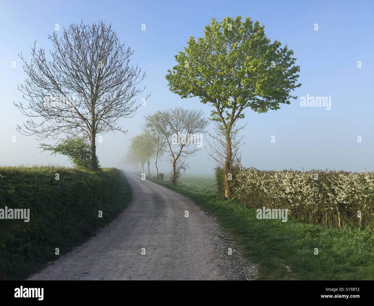 Un paese via in Oxfordshire, Regno Unito nella foto a inizio primavera. Foto Stock