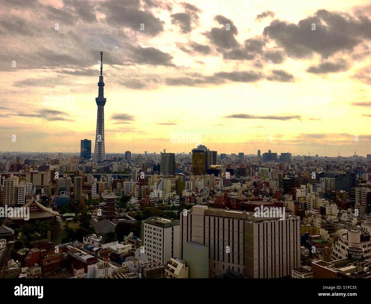 Skyline di Tokyo Foto Stock