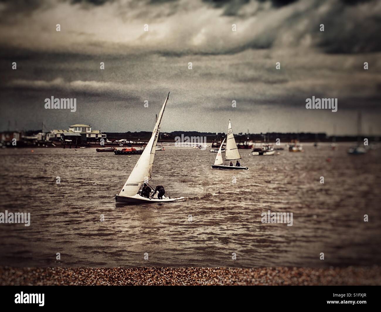 Membri di Felixstowe Ferry Sailing Club fiume Deben Suffolk REGNO UNITO - Immagine stock catturata con smartphone