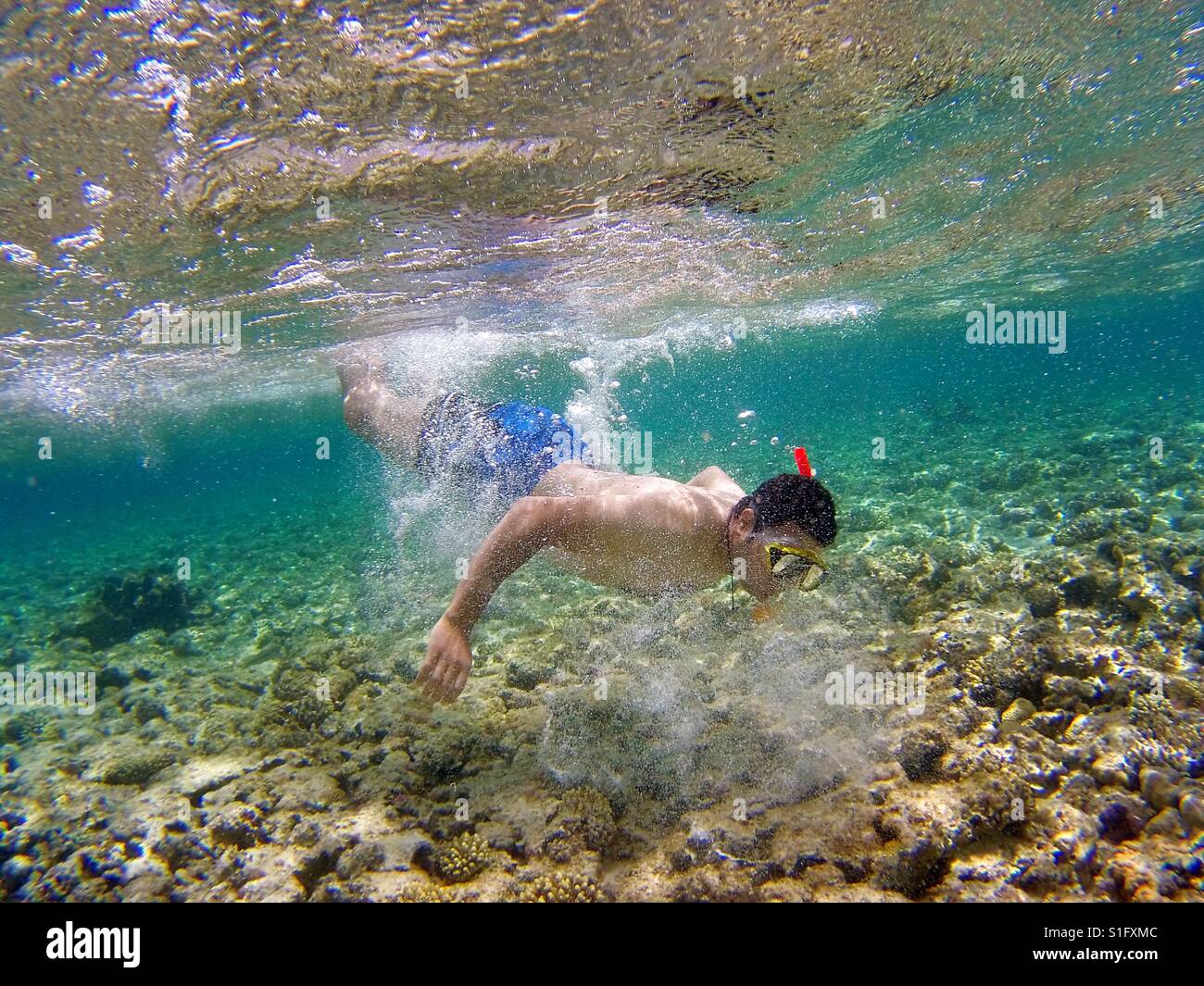 Diving libero nel foro blu Foto Stock