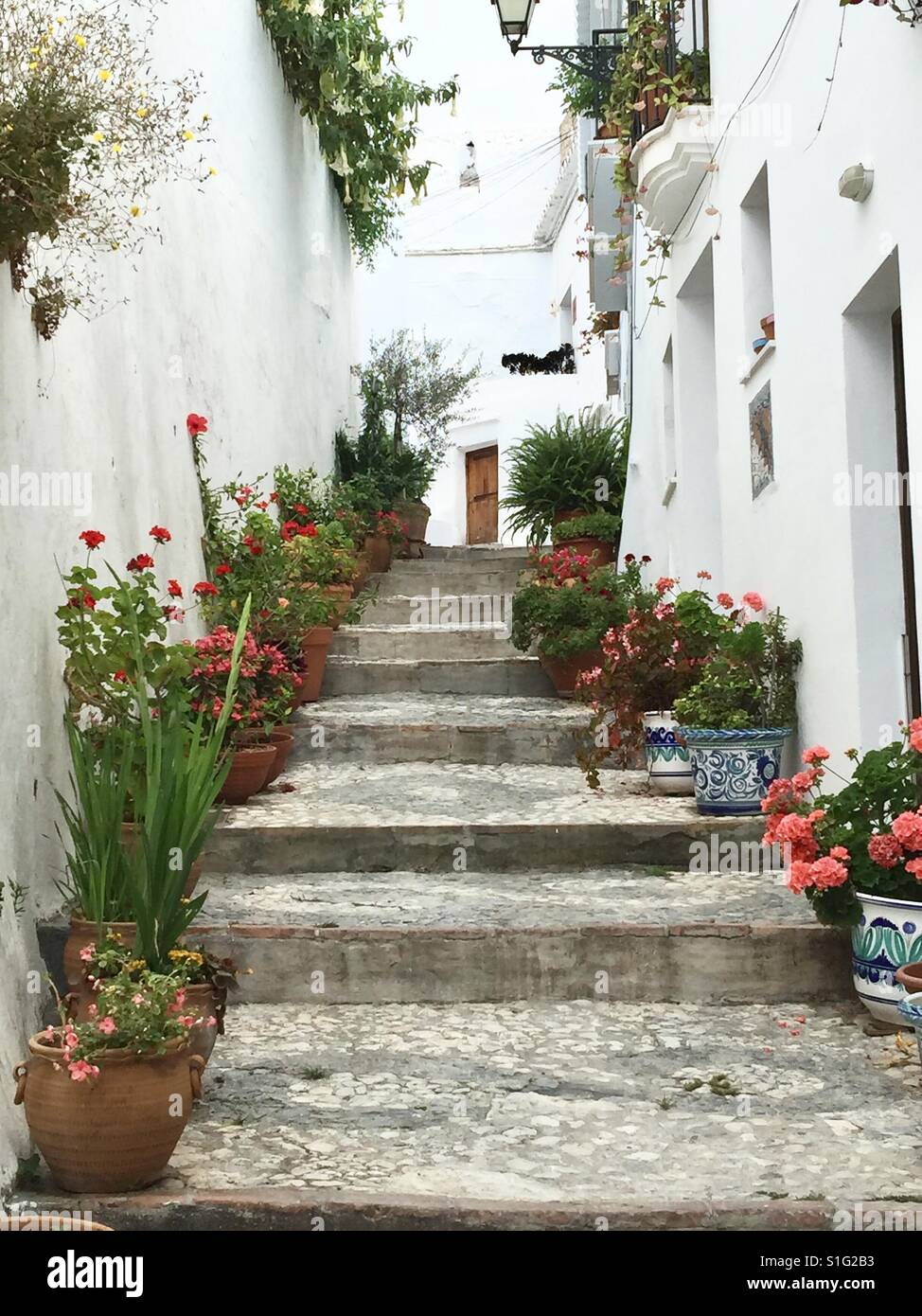 Un ripido passaggio in una collina in Frigliana, Nerja, Spagna. Piuttosto vasi di fiori la linea di entrambi i lati dei gradini e una porta marrone è sulla distanza. Foto Stock
