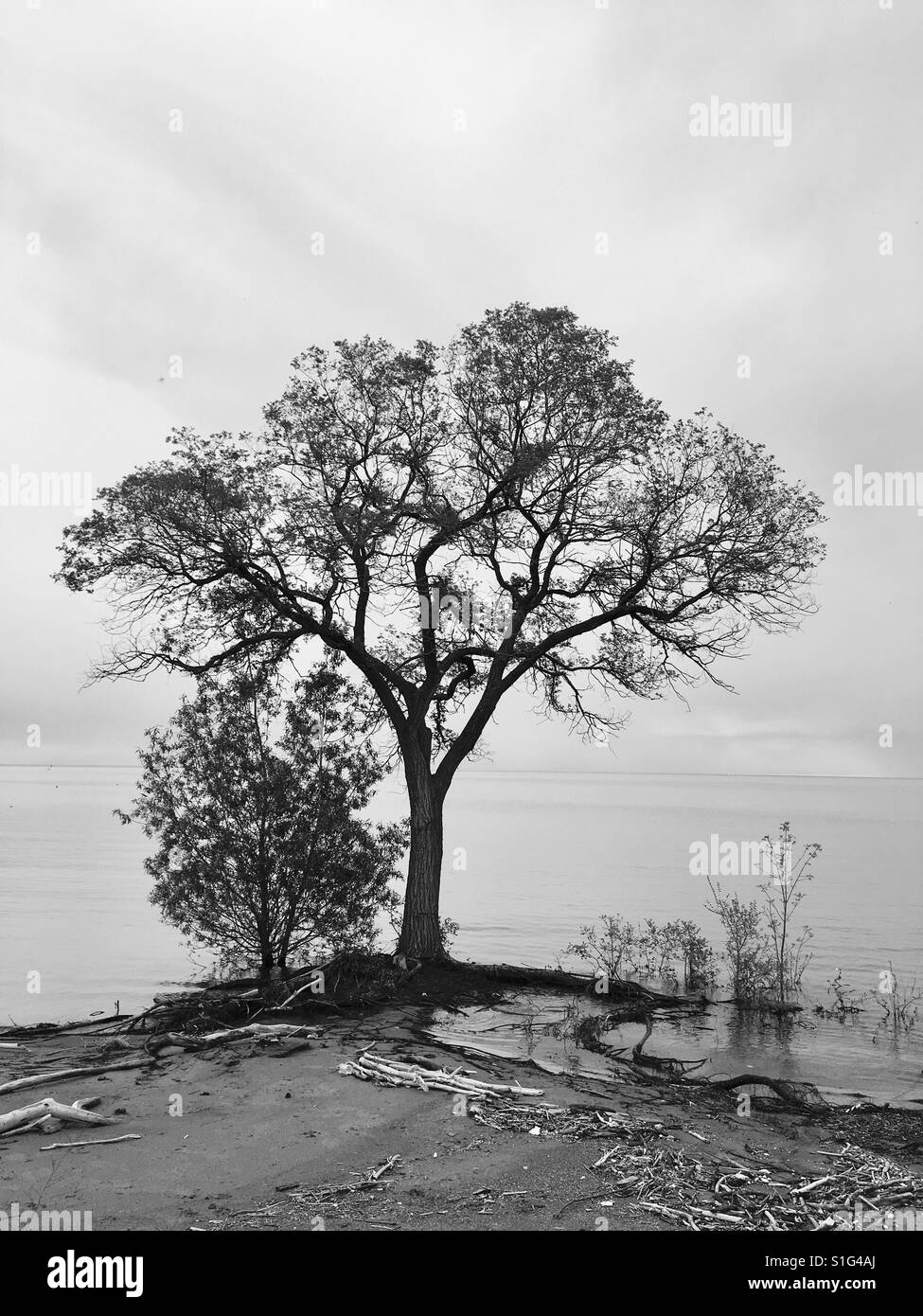 Struttura inondate Lago Ontario Foto Stock